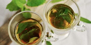 Green Tea - Camellia sinensis
