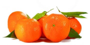 Tangerine - Citrus tangerina
