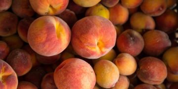 Apricot & Peach Kernels