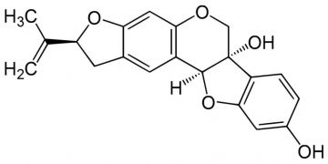 Isoflavonoides de soja - Genisteína y Daidzeína
